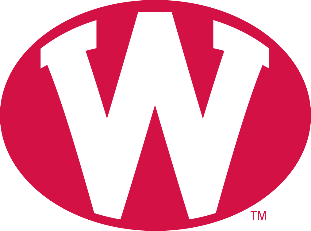 Wisconsin Badgers 1972-1977 Alternate Logo t shirts iron on transfers